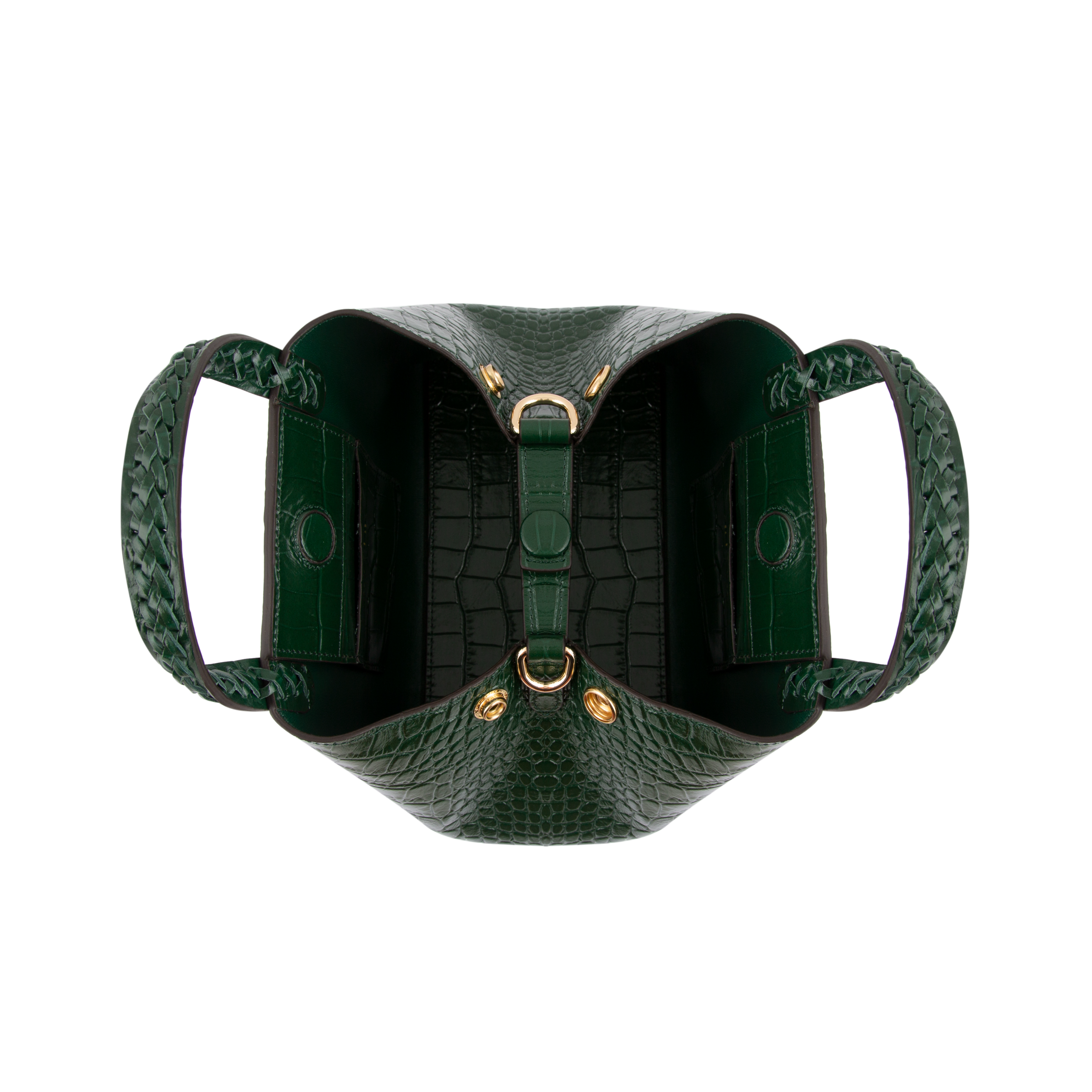 Mini Hemithea - Green Croco