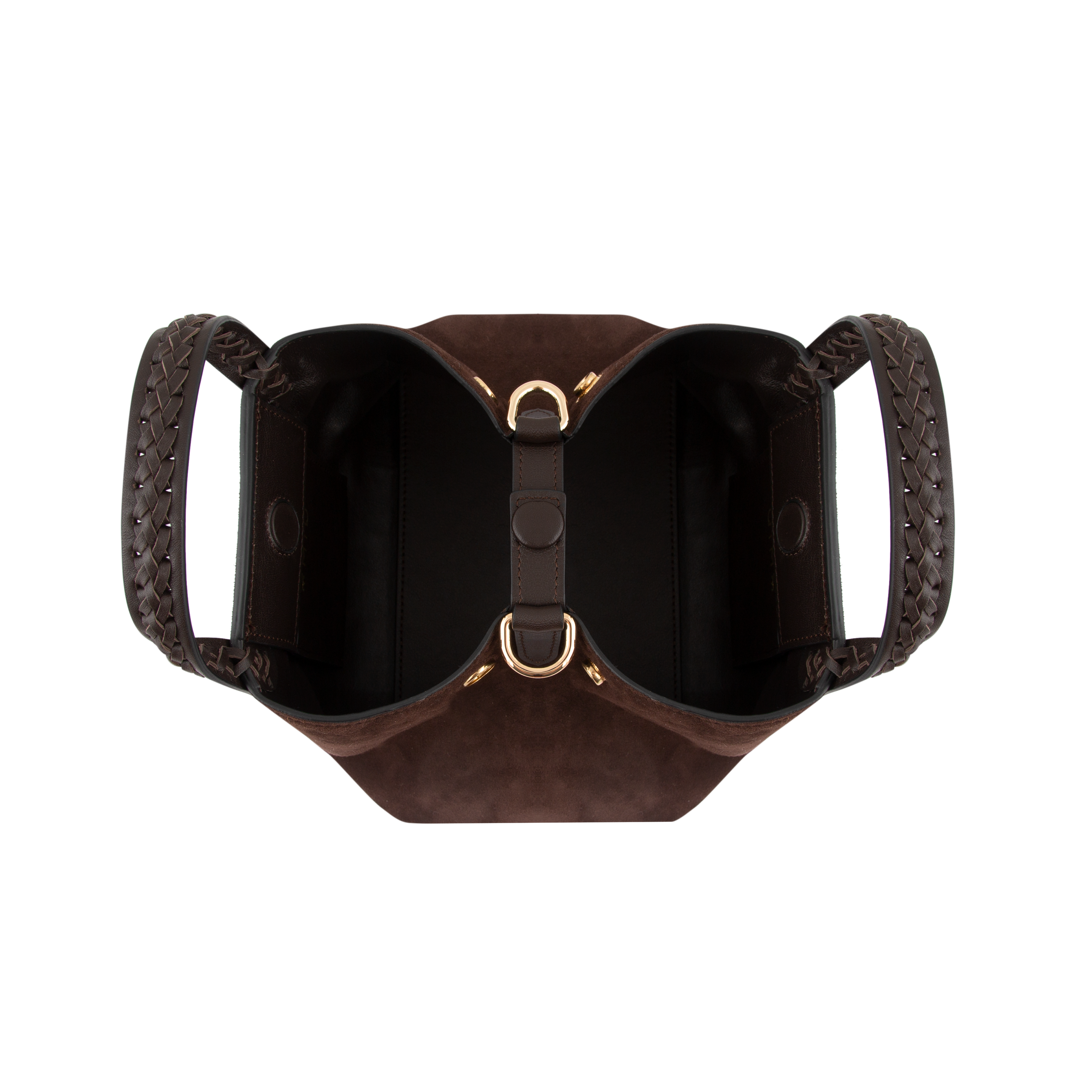 Mini Hemithea - Gamuza Amarga